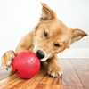 Picture of KONG Biscuit Ball Treat Toy – Durable Treat Dispensor